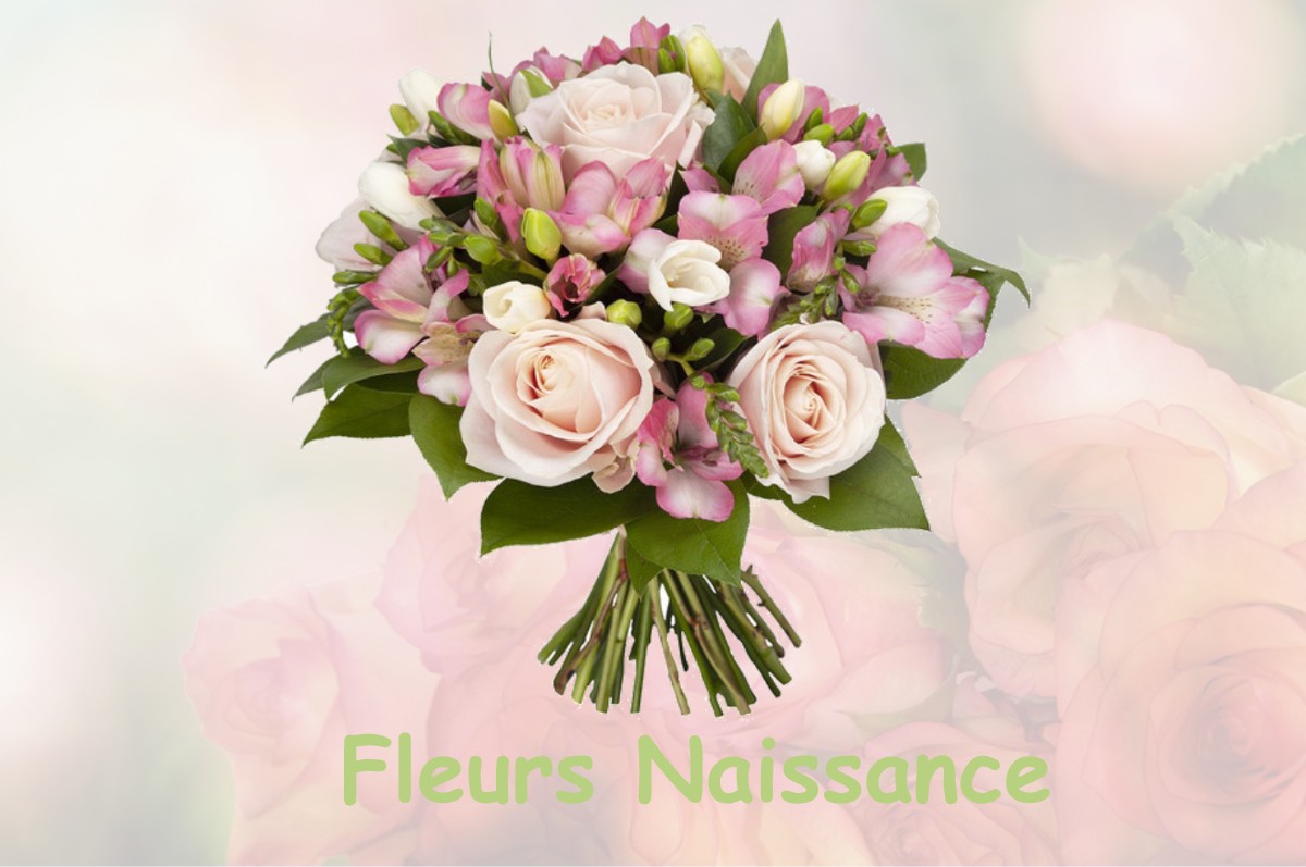 fleurs naissance SAINT-CIERGE-SOUS-LE-CHEYLARD