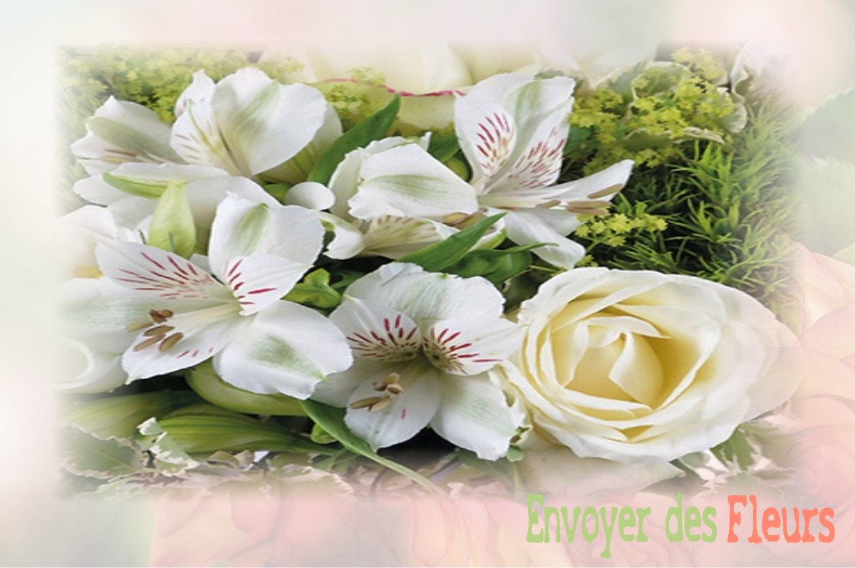 envoyer des fleurs à à SAINT-CIERGE-SOUS-LE-CHEYLARD